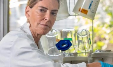 Cientista Tatiana Sampaio leva esperança a pacientes com lesão medular